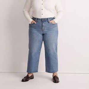 Madewell The Plus Perfect Vintage Wide-Leg Jean in Knoxville Wash